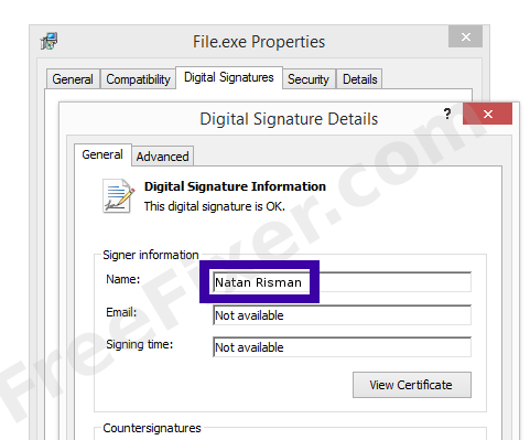 Screenshot of the Natan Risman certificate